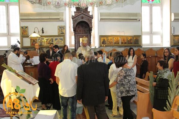 sha3aneensunday3 (2).JPG